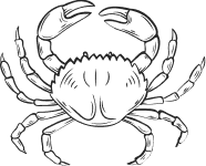 crab